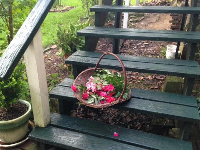 Magnolia Cottage Bed And Breakfast Natchez Bagian luar foto